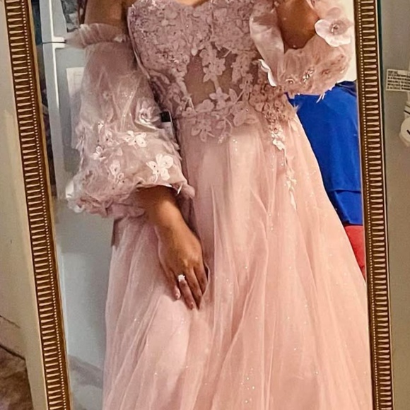 Ladivine Cinderella CD962 MAUVE bodice prom gown - Picture 3 of 3